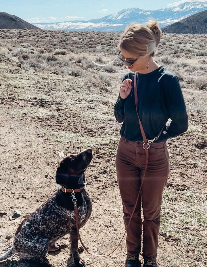 Black and white dog with a brown BioThane leash and collar set looking up at their owner.