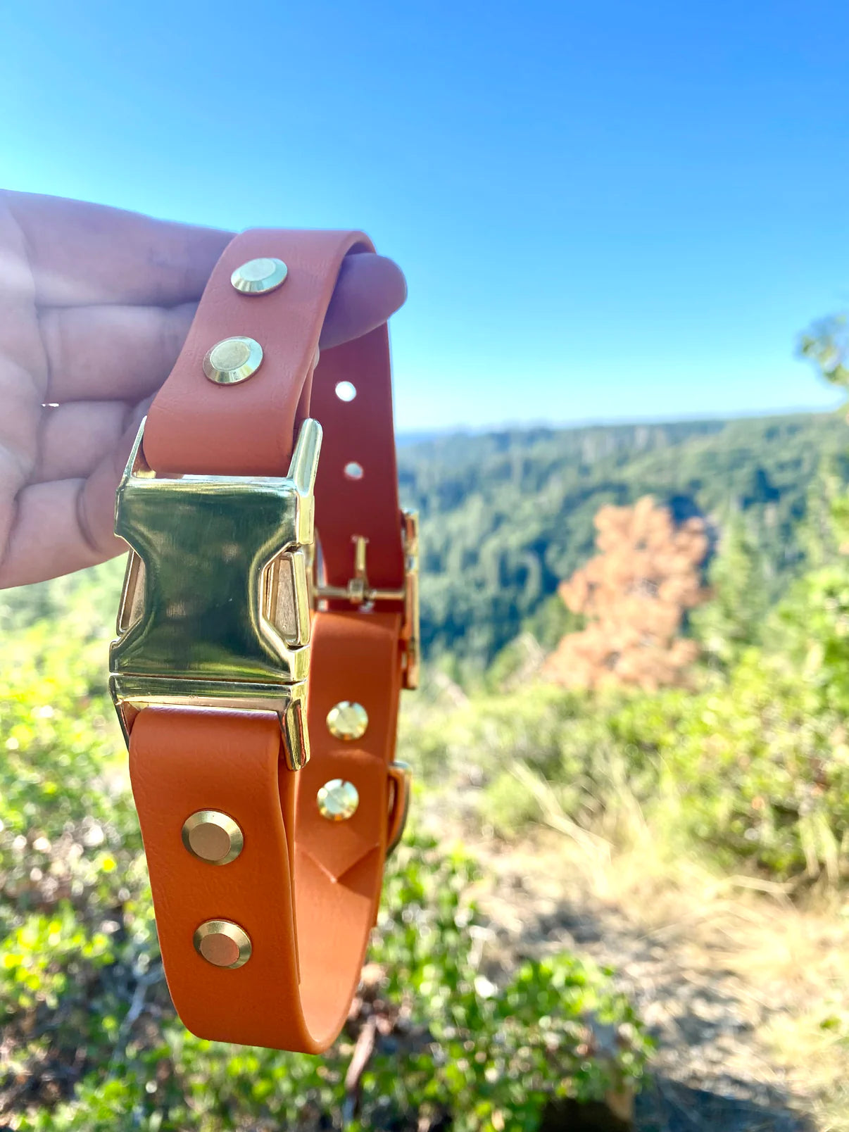 A burnt orange quick release collar being held. The background is green shrubery.