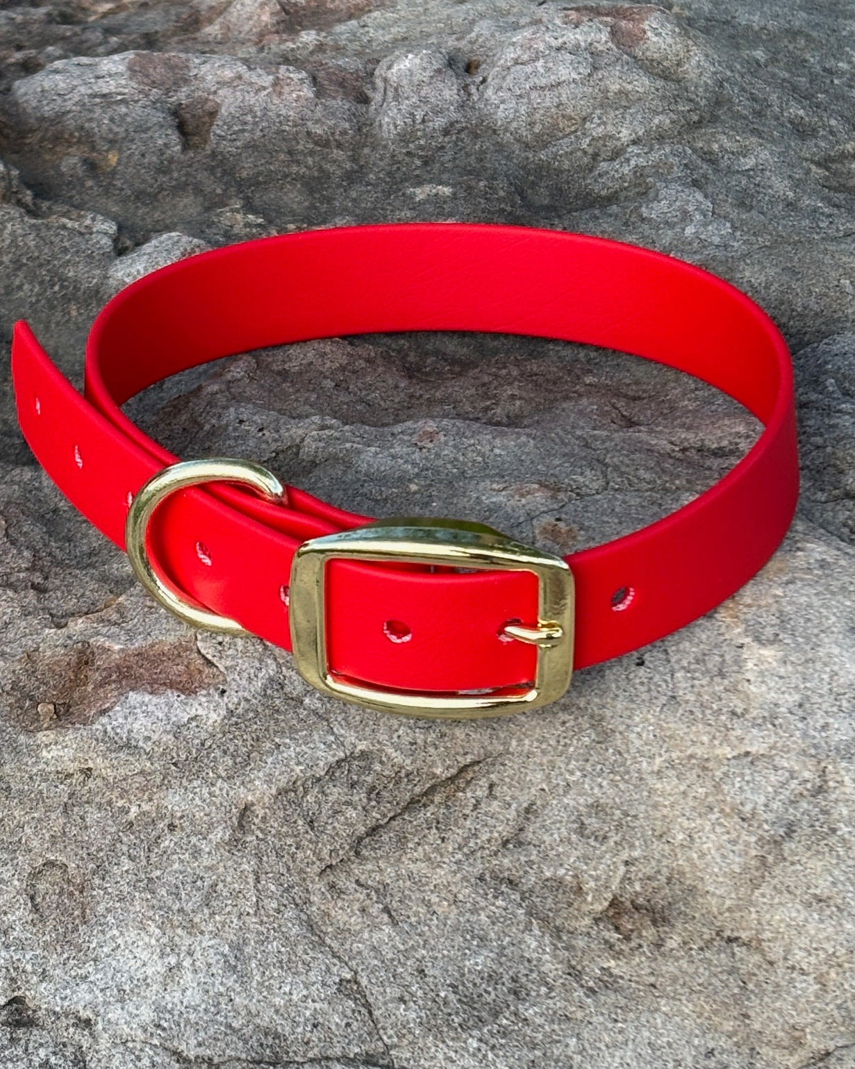 A Cherry Red dog collar resting on a rock. The collar has gold hardware.