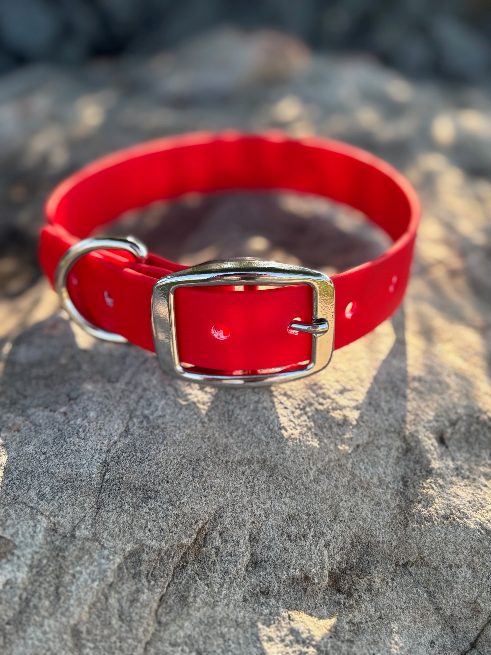 A cherry red classic dog collar sitting on a rock on a sunny day. The collar has a belt style buckle that is silver.