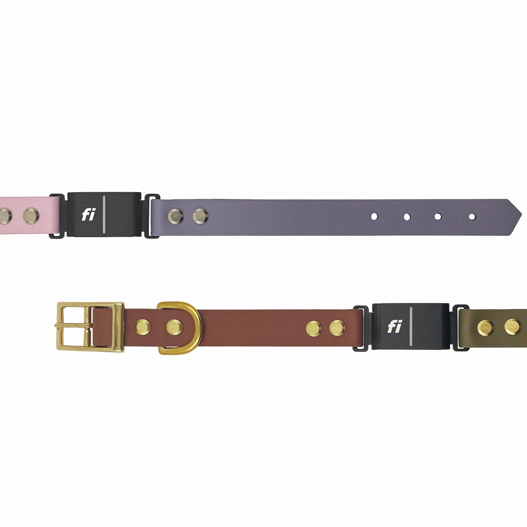 Two Fi Dog collars with multiple colors present. Lilac, Silver, Chocolate Brown and Olive Drab are the colors represented with the collars.