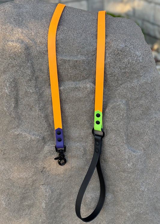 Tangerine Orange, Royal Purple, Midnight Black and Neon Green Classic Leash resting on a rock.