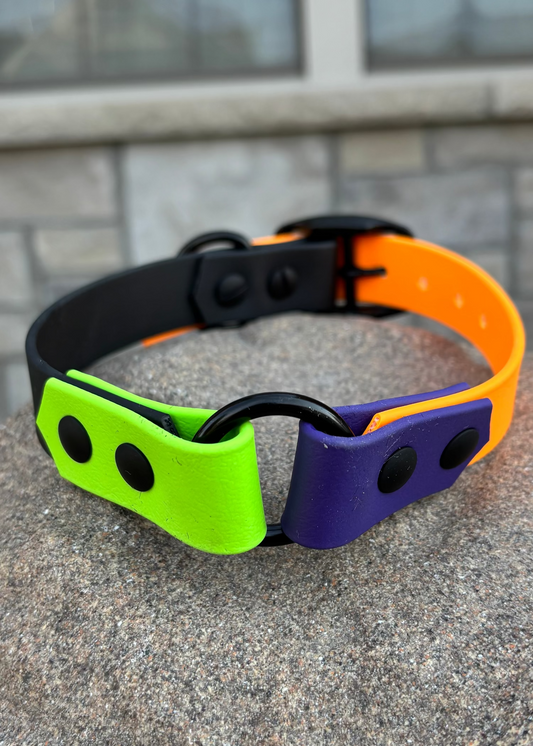 A Royal Purple, Neon Green, Tangerine Orange and Midnight Black dog collar resting on a rock with a stone wall background.