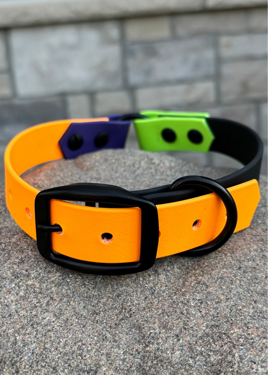 Colorful dog collar with Tangerine Orange, Neon Green, Royal Purple and Midnight Black sections on a stone surface and a brick background.