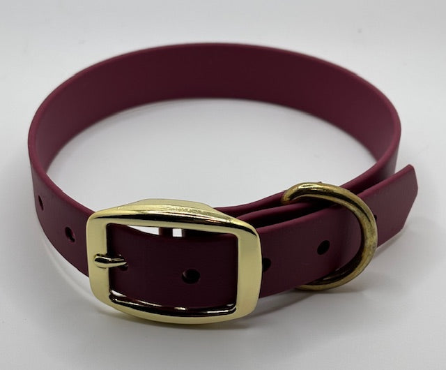 Waterproof Dog Collar | Built with BioThane®