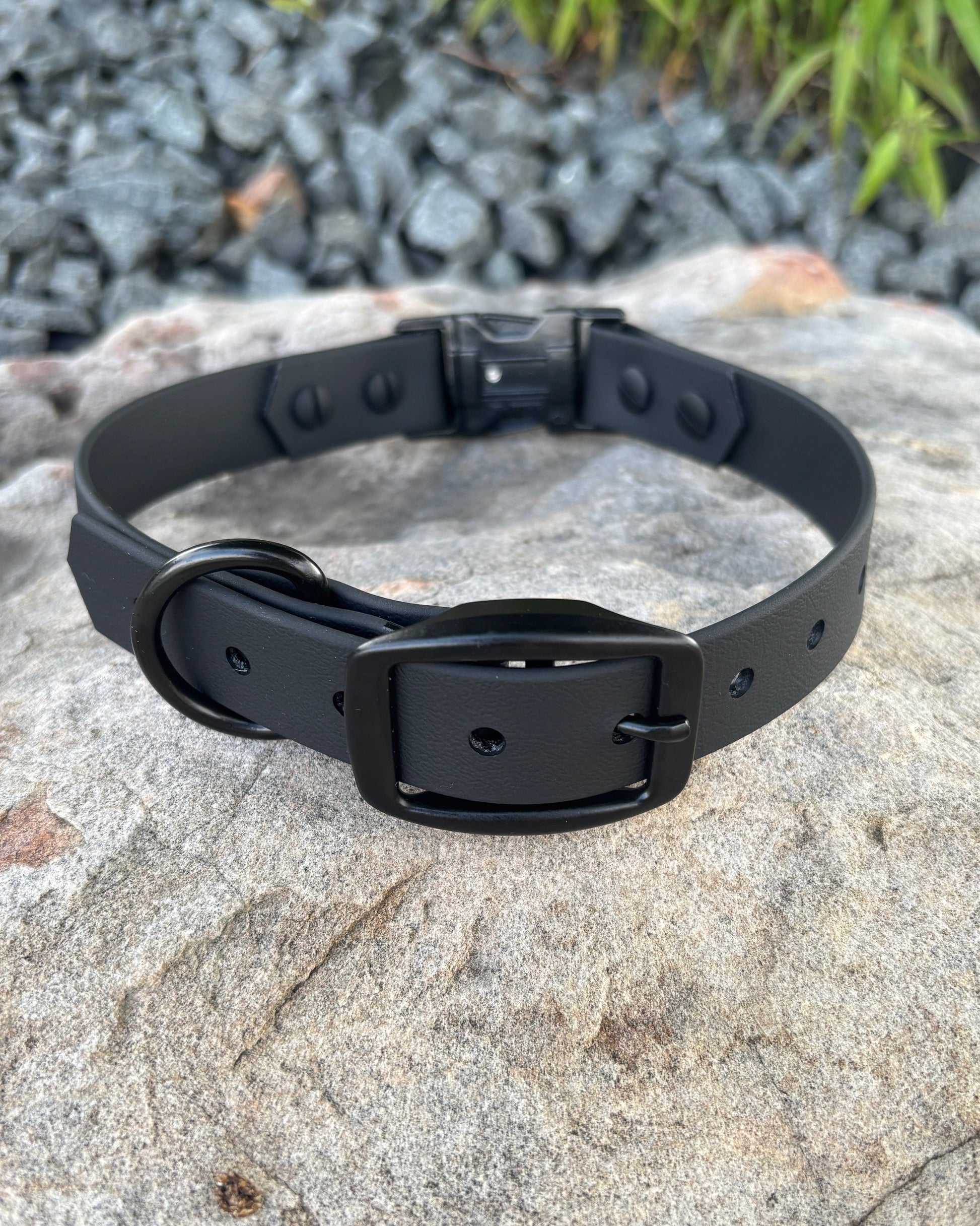 A midnight black classic collar with matte black hardware from Evergreen Dog Co