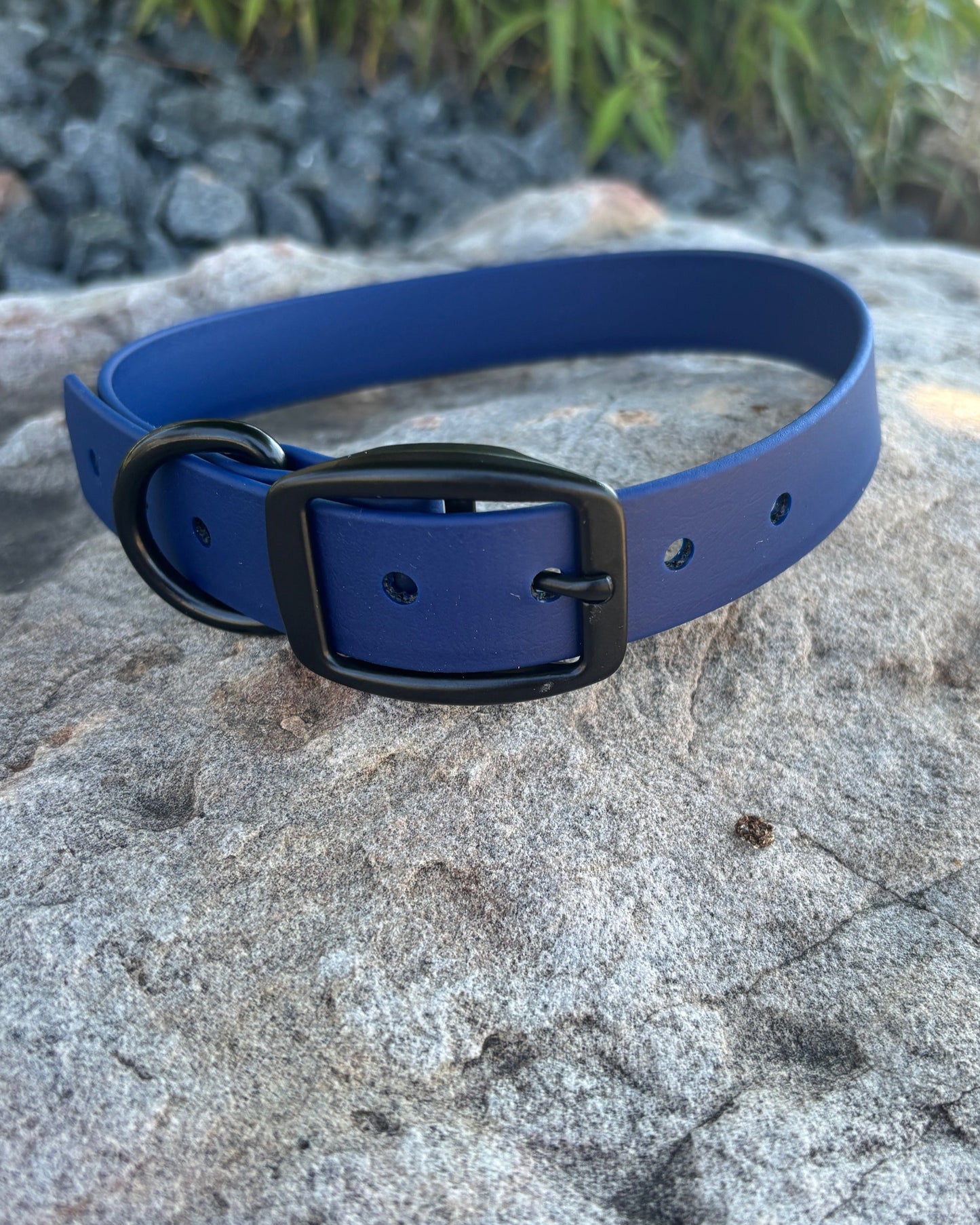 A navy blue Classic Collar made from BioThane sitting on a rock.