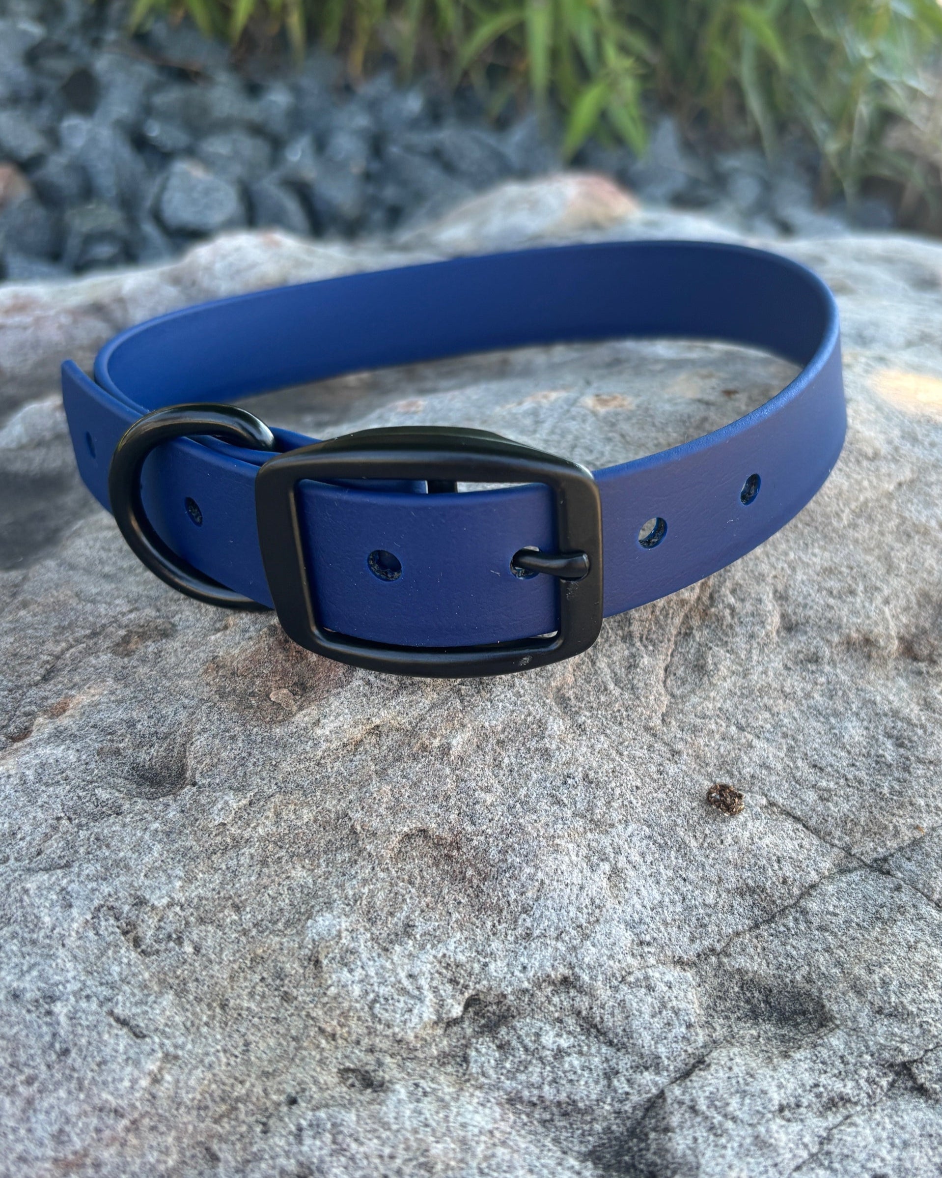 A navy blue Classic Collar made from BioThane sitting on a rock.