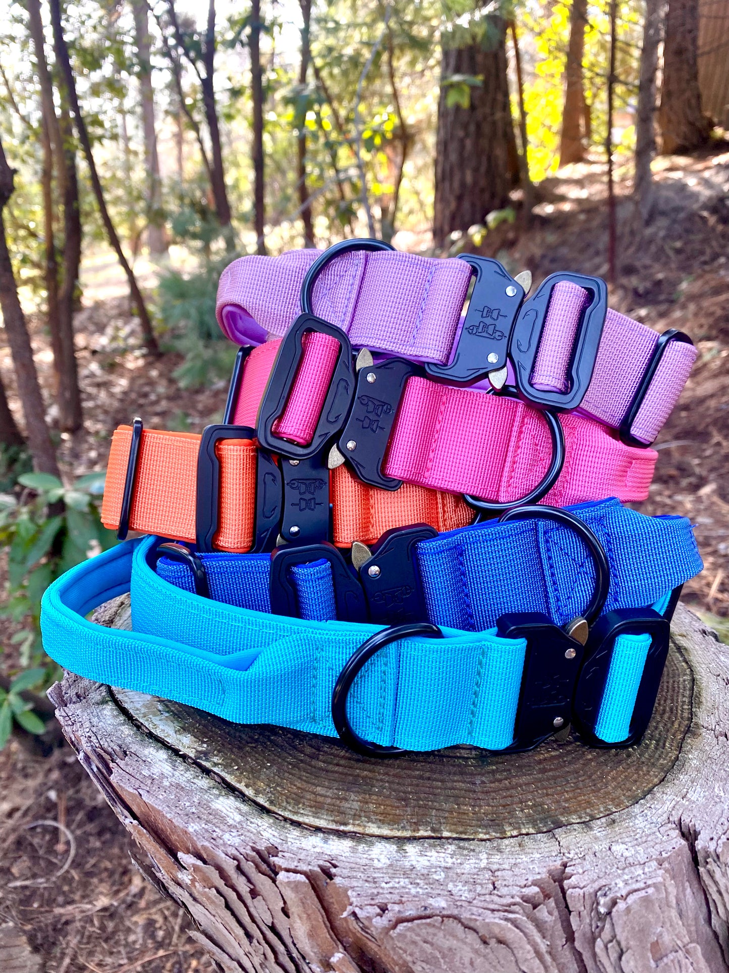 5 tactical dog collars stacked on a stump in the woods. Purple, Pink, Orange, Navy Blue and Light Blue is the order of the collars.