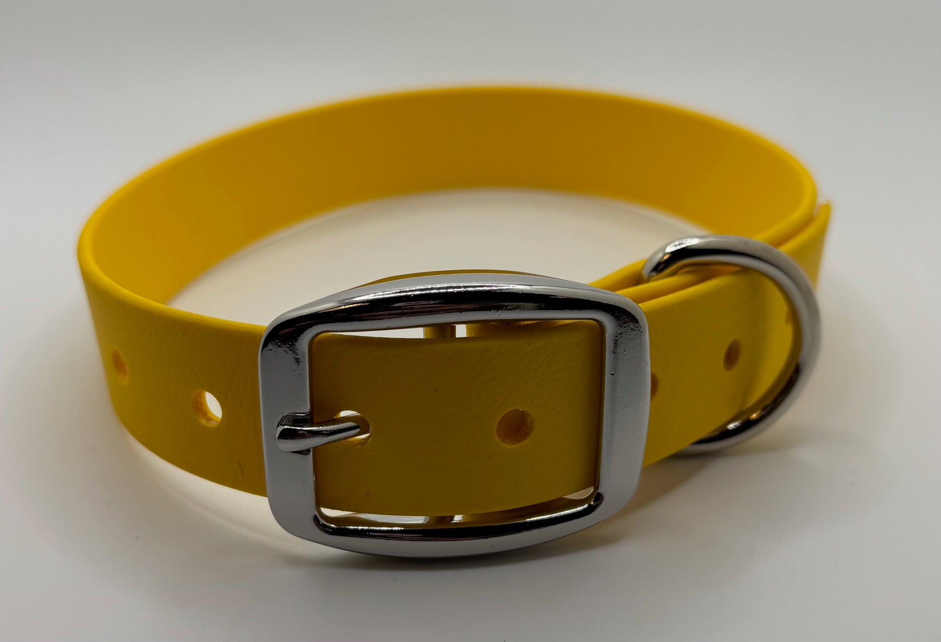 Yellow dog collar made from BioThane with silver buckle