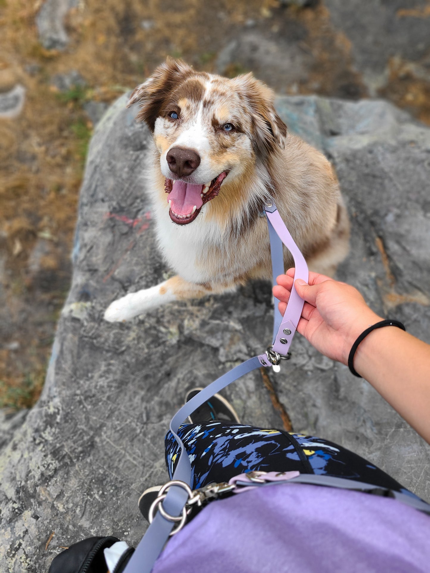 Waterproof Multi-Way Dog Leash
