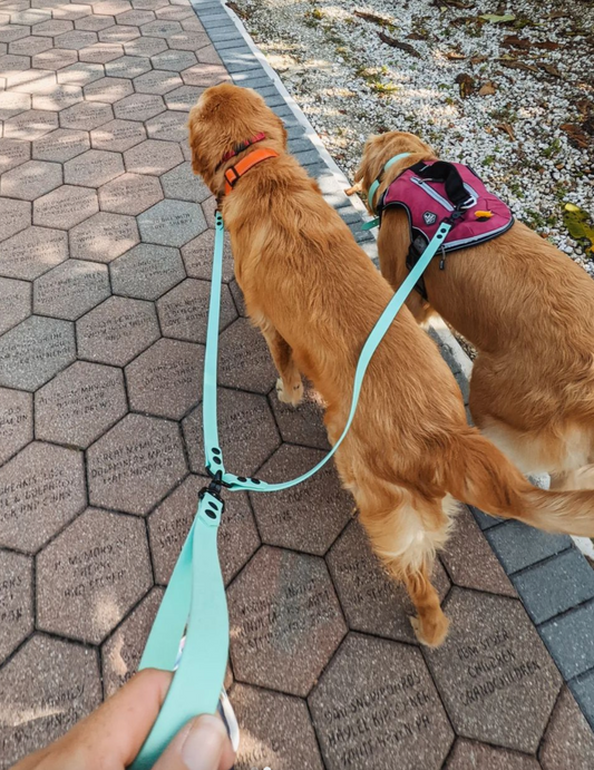 Waterproof Two Dog Leash | Two Dog Leash Splitter