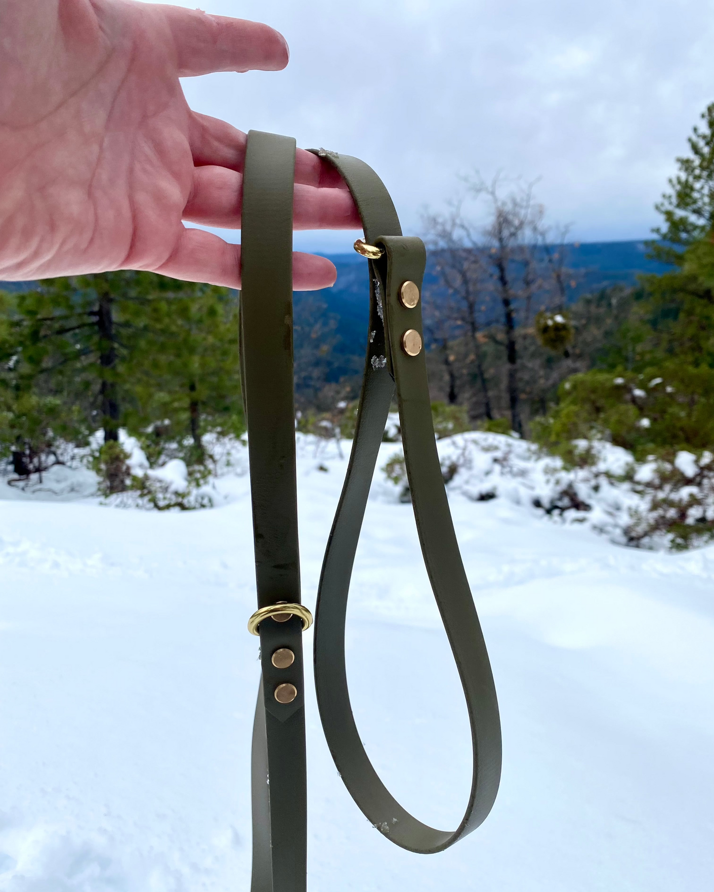 A person holding a BioThane slip lead on a hill with snow on the ground and trees in the background.