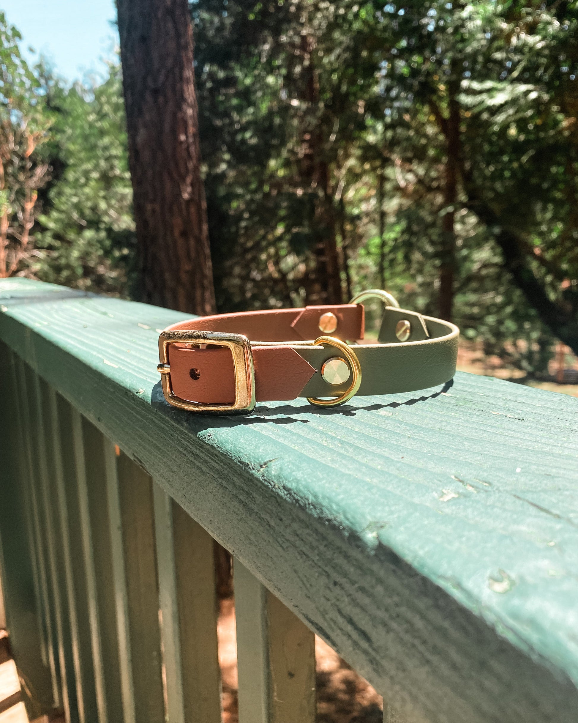 A green and brown waterproof dog collar sitting on a green railing in the woods. The collar has gold hardware.