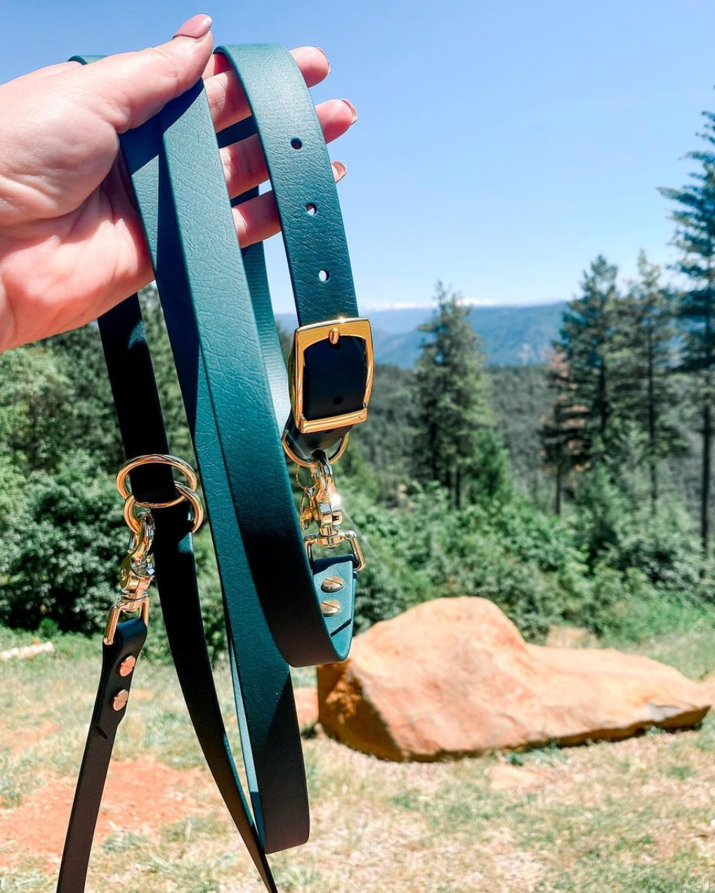 A person holding a green multiway collar and leash set with a rock and evergreen trees in the background.