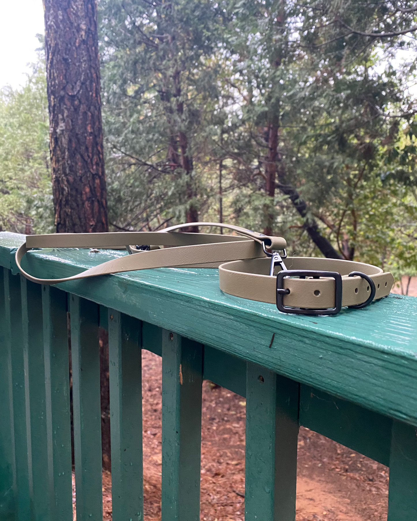 A tan leash and collar set sitting on a green railing with trees in the background.