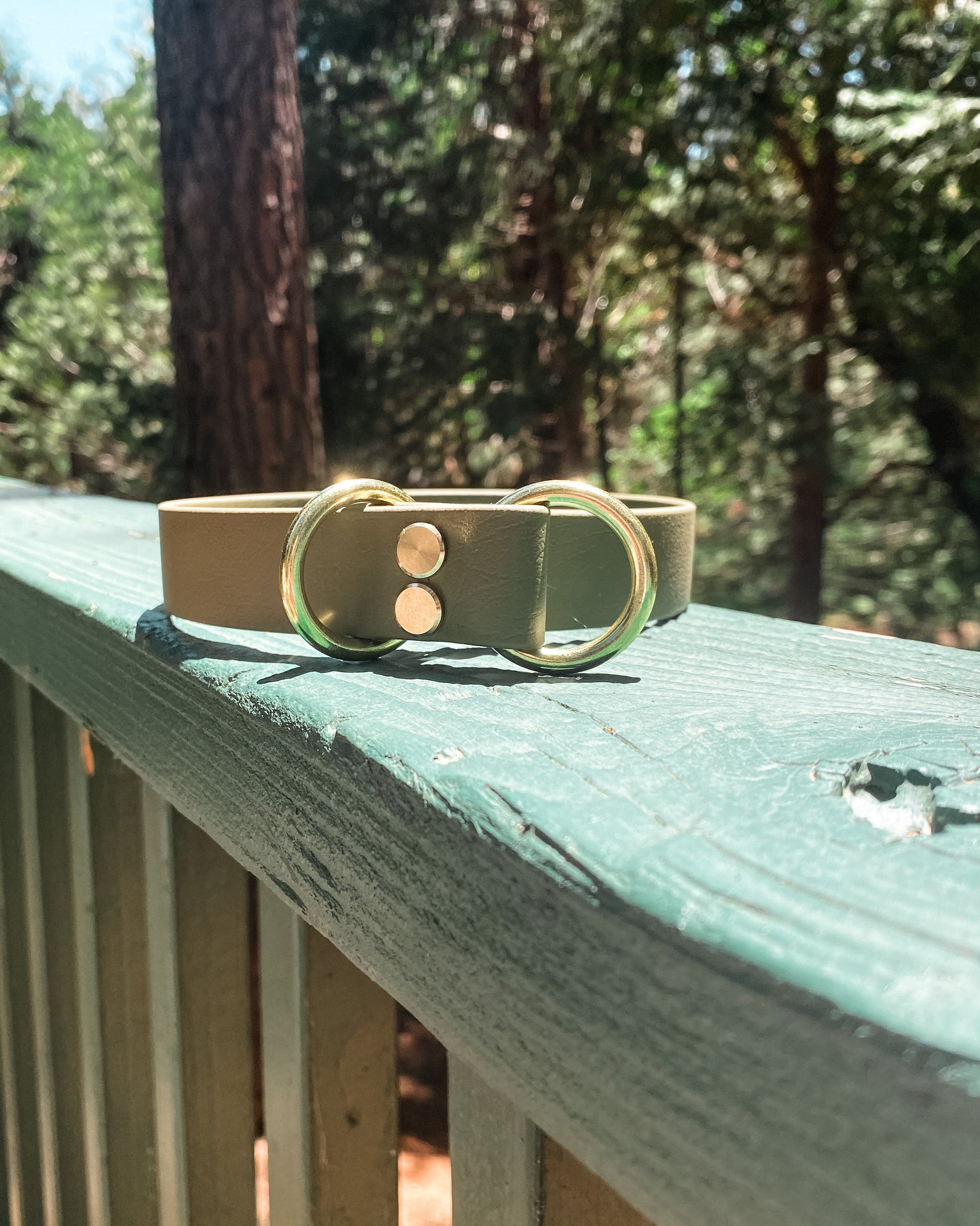 An olive drab slip collar sitting on a green railing in the woods.