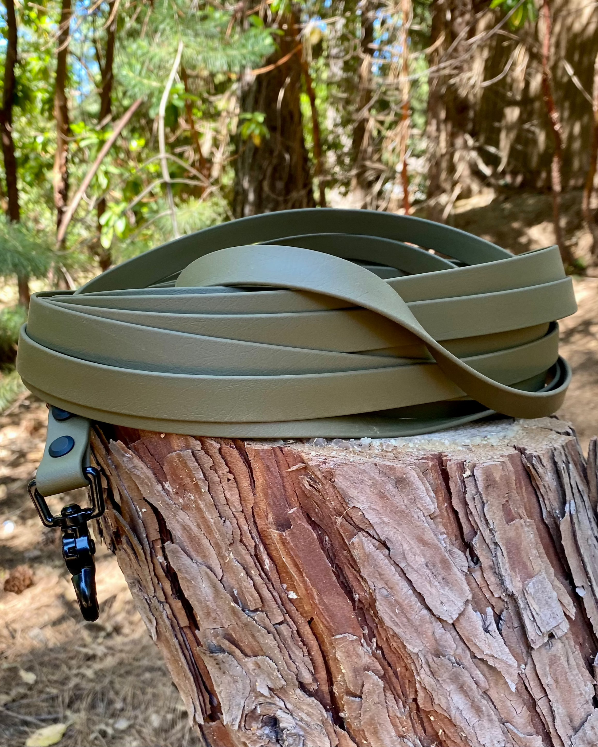 Olive drab dog training lead sitting coiled on a stump in the woods.