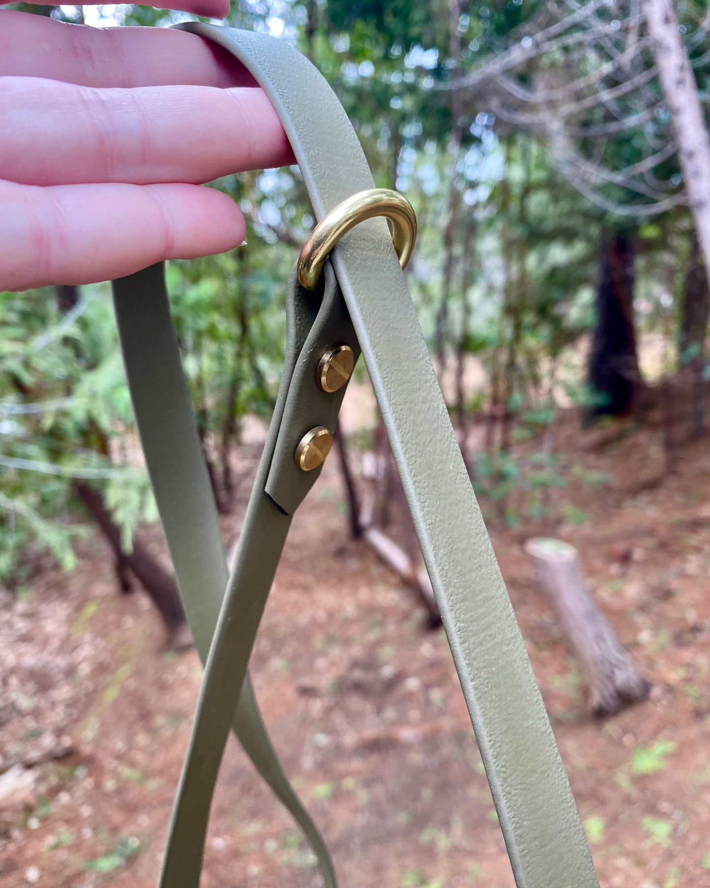 A person holding an olive slip lead in the woods. The lead has gold hardware. 