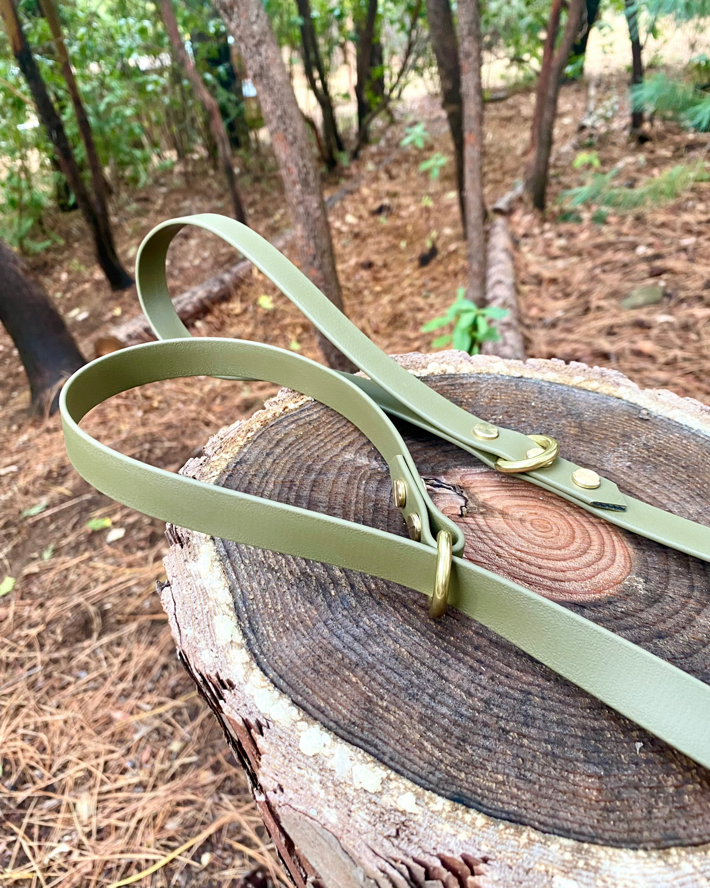 An olive colored slip lead displayed on a stump in the woods.