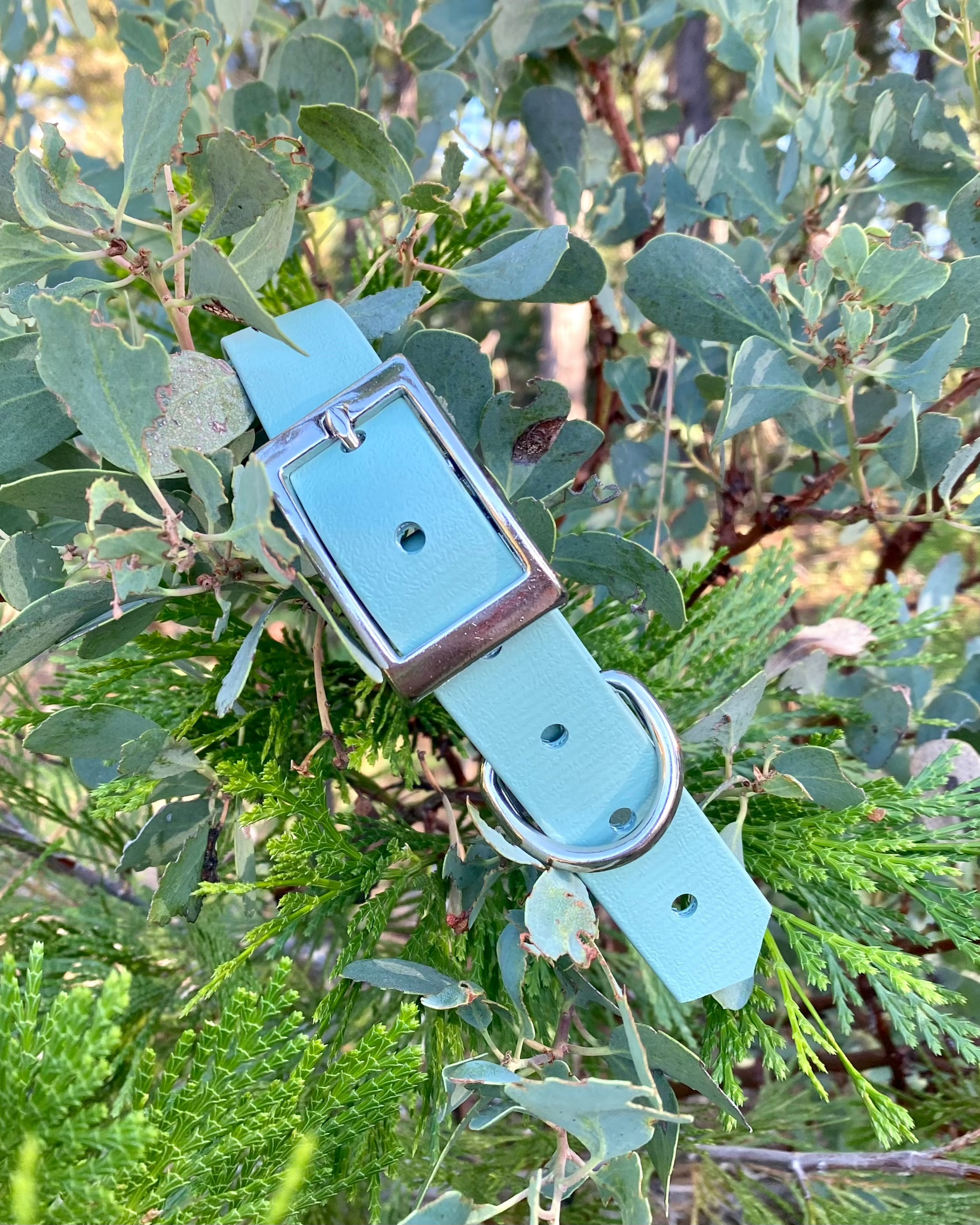 A sage green BioThane collar placed on a bush. The collar has silver hardware.