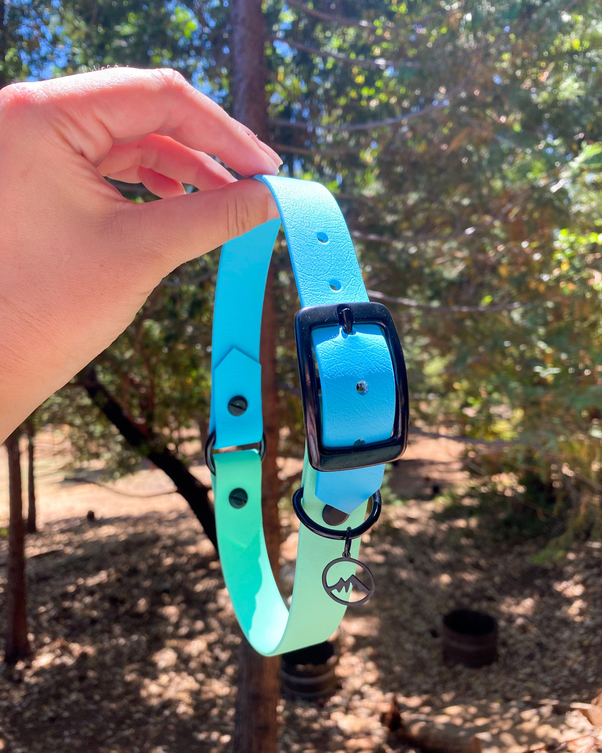 A person holding a two tone BioThane dog collar. The collar is sage green and glacier blue and the setting is in the woods.