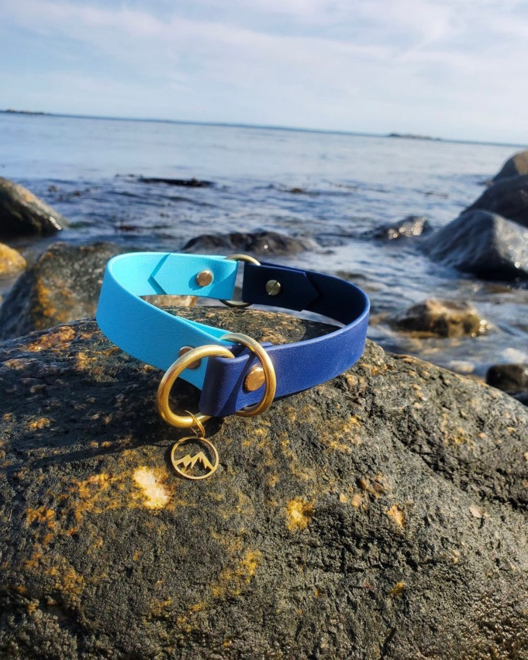 A waterproof two-tone slip collar sitting on a rock in front of the ocean.