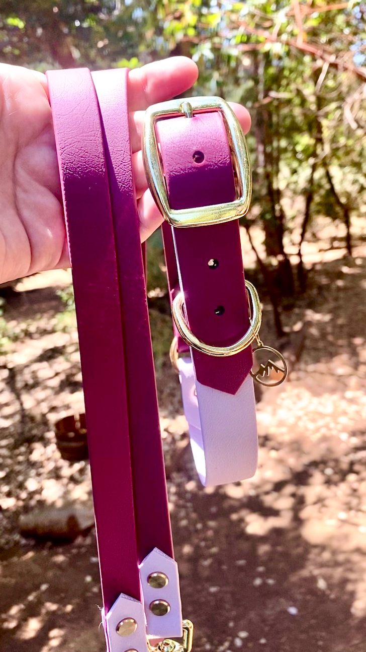 A wine and spring lilac colored BioThane leash and collar being held by a person in the woods.